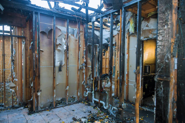 Professional Soot Cleanup technician working in Spanaway, WA